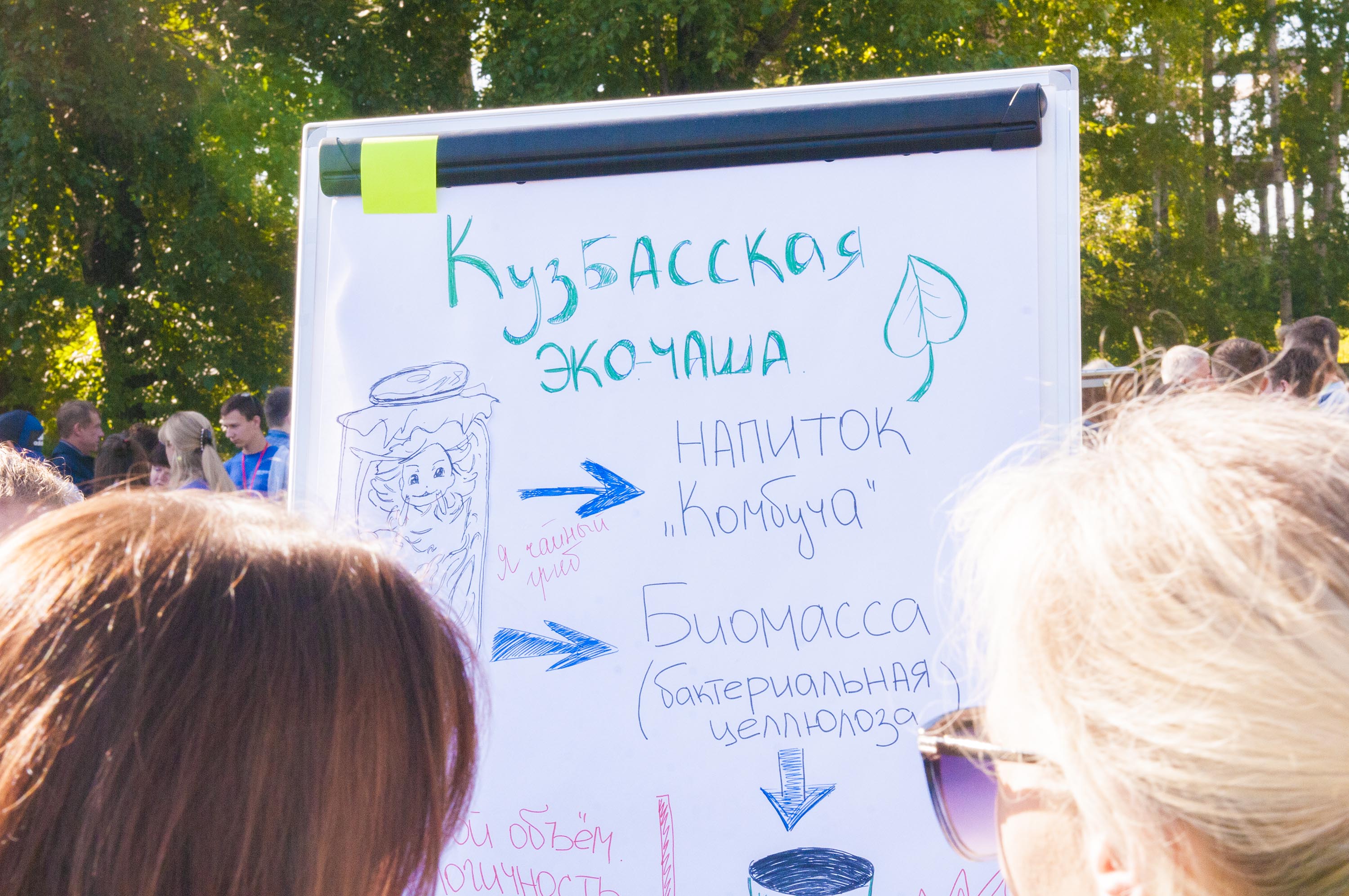 В Кузбассе завершился XIII областной слет юных экологов