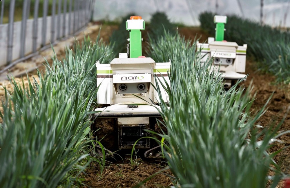 Кузбасская сельхозакадемия совместно с университетом Иннополис проводит обучающие курсы по робототехнике
