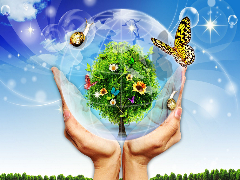  Проект «Сохрани Землю чистой!» стартует в Кузбассе