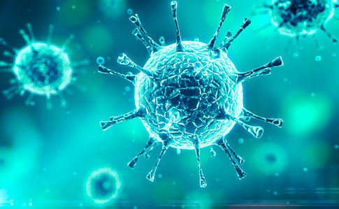 Правительство Кузбасса принимает меры для защиты региона от коронавируса